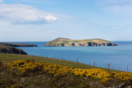 Ceredigion Coast 