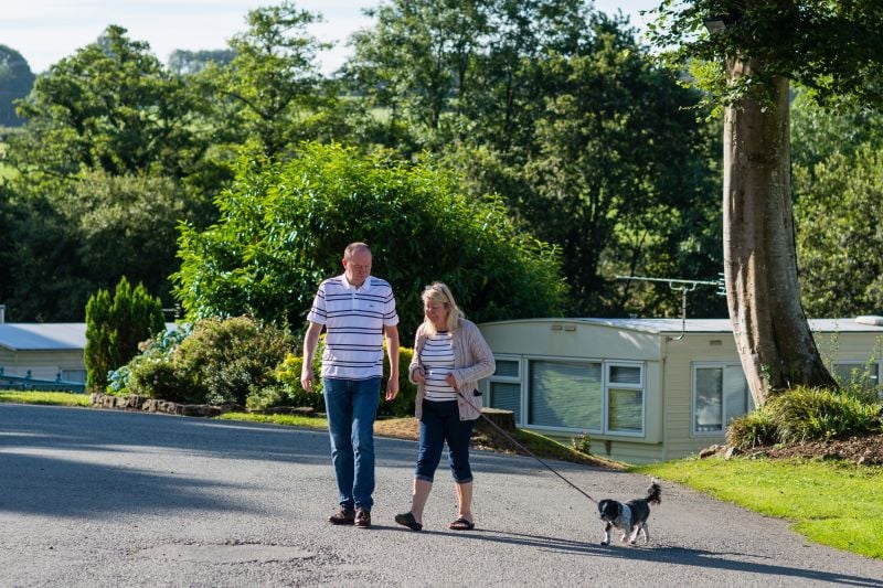 Dog walk at a caravan site