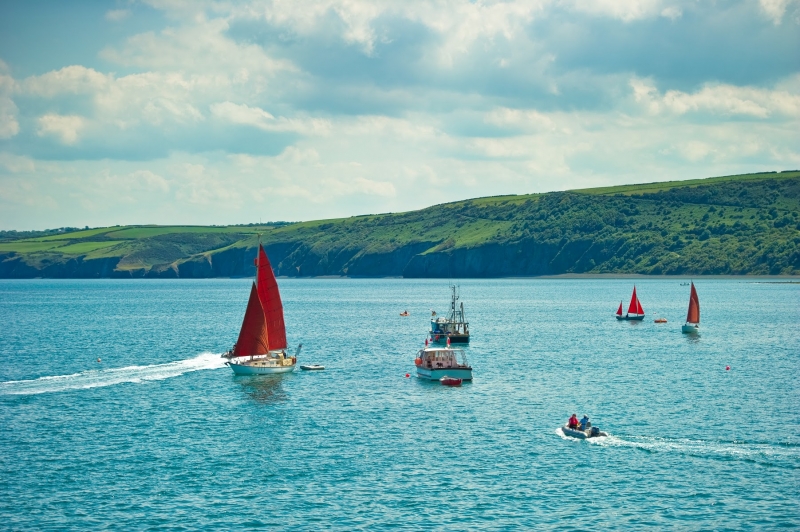 Boat trips New Quay Wales