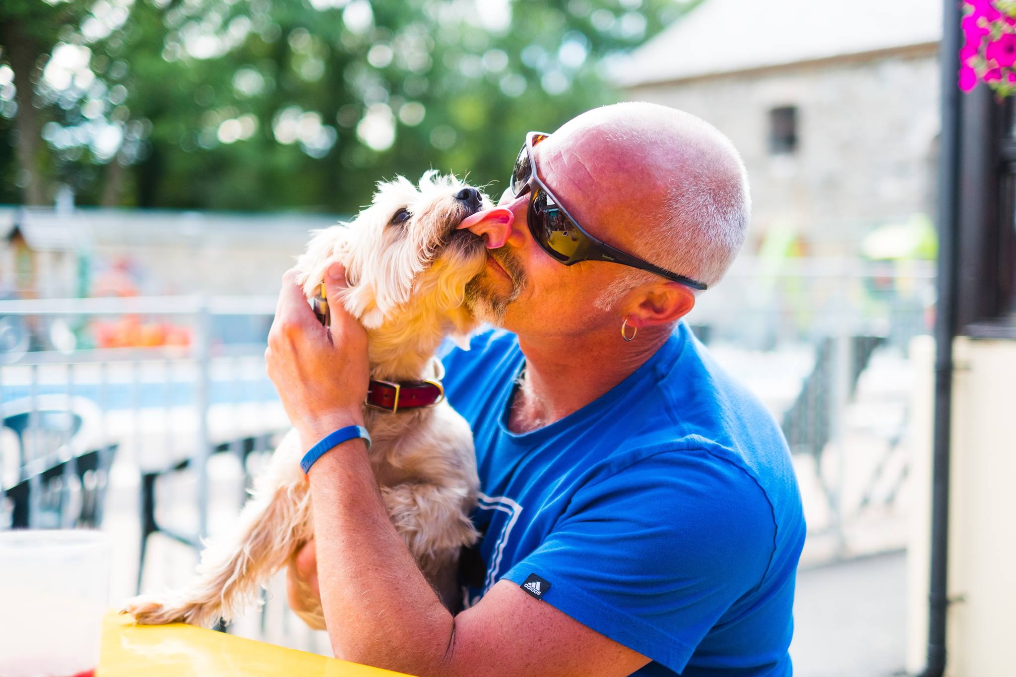 Man and dog together