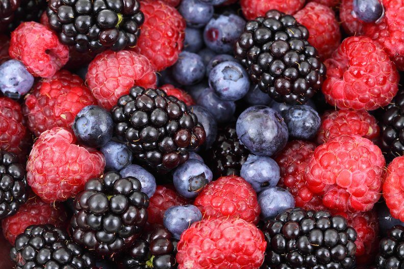 Berries at pick your own farm in Cornwall