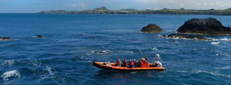 boat trip in pembrokeshire