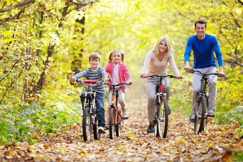 family cycle