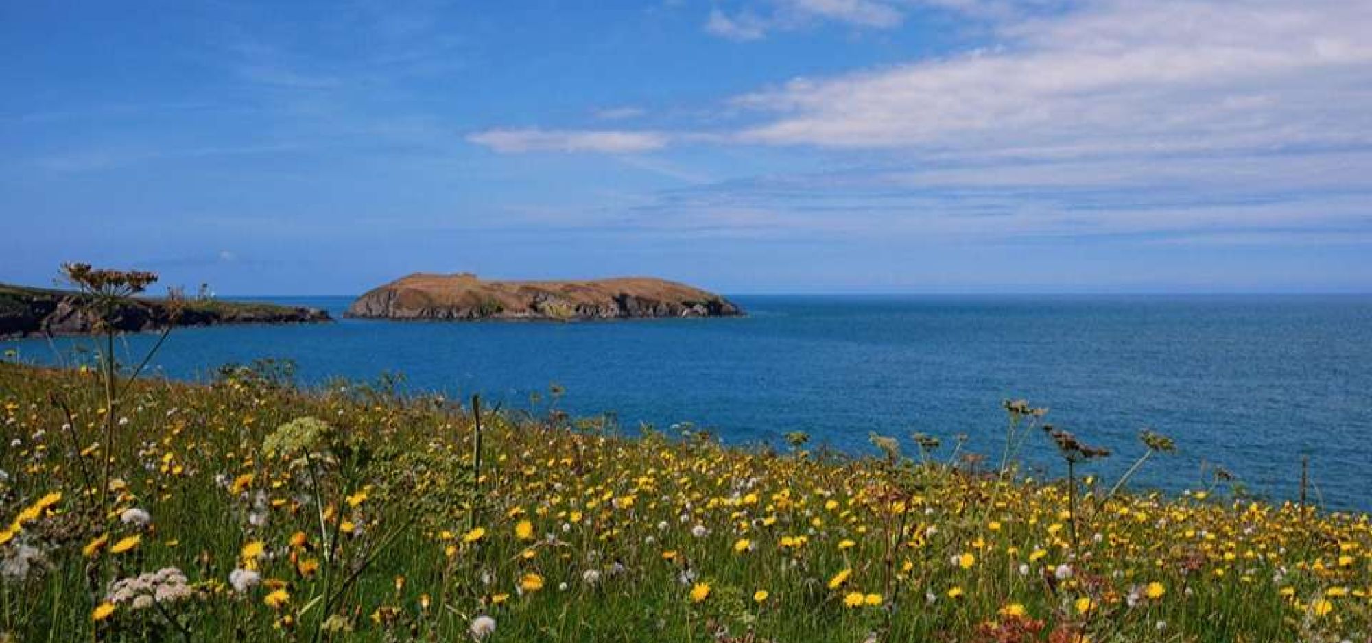 A view over the Mid Wales Coast Path