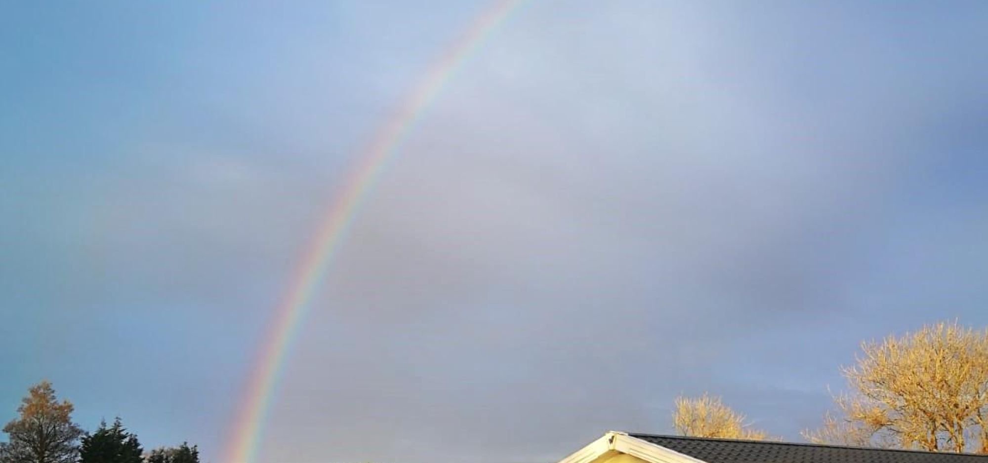 Woodland Rainbow